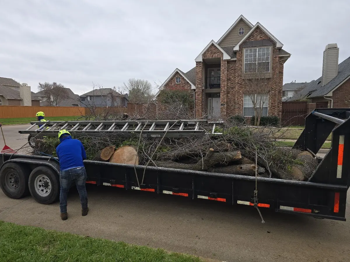 Expert Crown Reduction with proper safety equipment in Broadview